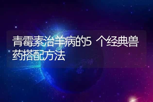 青霉素治羊病的5个经典兽药搭配方法 | 家畜养殖