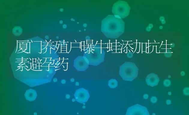 厦门养殖户曝牛蛙添加抗生素避孕药 | 家畜养殖技术
