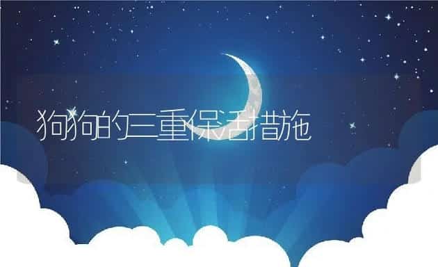 狗狗的三重保活措施 | 宠物猫
