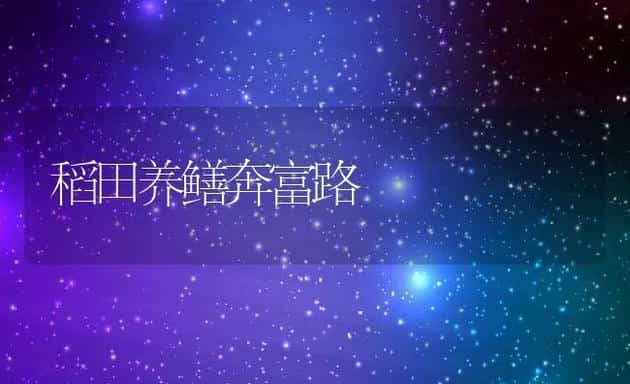 稻田养鳝奔富路 | 动物养殖饲料