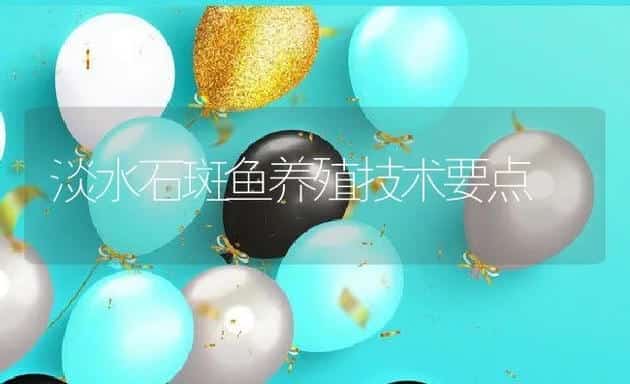淡水石斑鱼养殖技术要点 | 动物养殖饲料