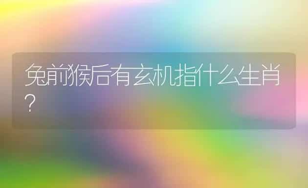 兔前猴后有玄机指什么生肖？ | 动物养殖问答