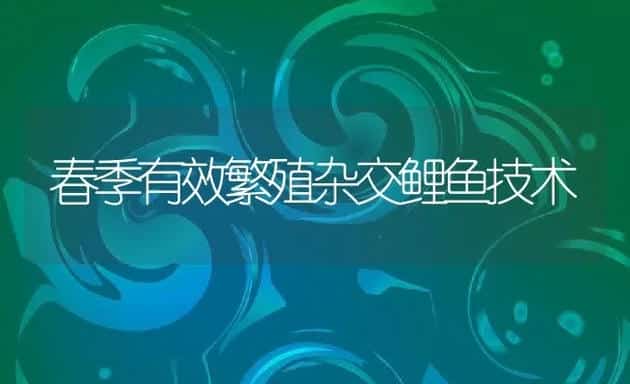 春季有效繁殖杂交鲤鱼技术 | 动物养殖饲料