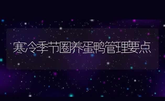 寒冷季节圈养蛋鸭管理要点 | 动物养殖饲料