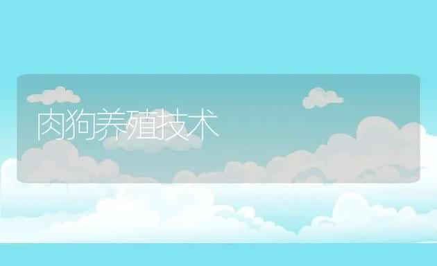 肉狗养殖技术 | 动物养殖饲料