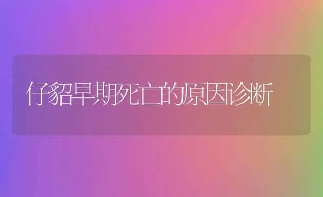 猪繁殖障碍讲座：玉米赤霉烯酮对猪怀孕前后的影响 | 动物养殖学堂