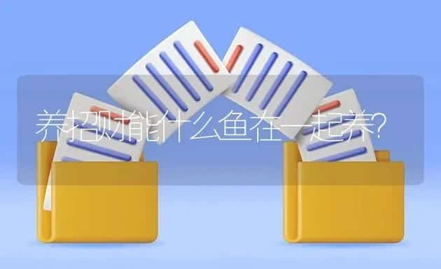 养大鱼用什么缸？ | 鱼类宠物饲养