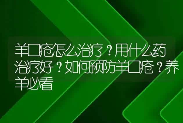 羊口疮怎么治疗？用什么药治疗好？如何预防羊口疮？养羊必看 | 家畜养殖