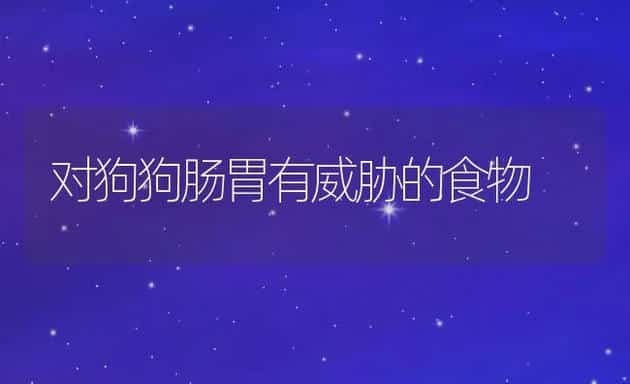 对狗狗肠胃有威胁的食物 | 宠物猫