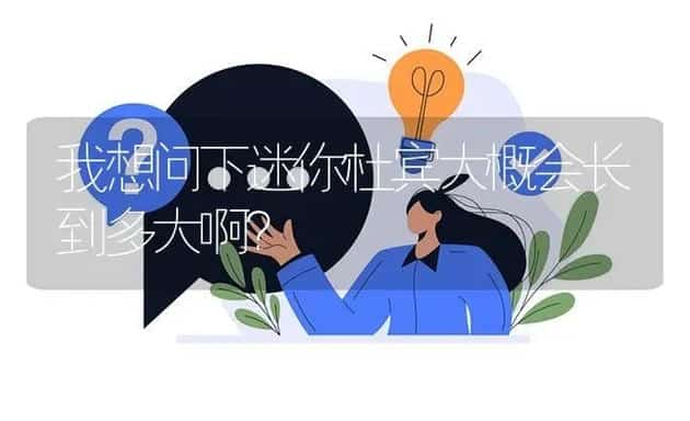 我想问下迷你杜宾大概会长到多大啊？ | 动物养殖问答