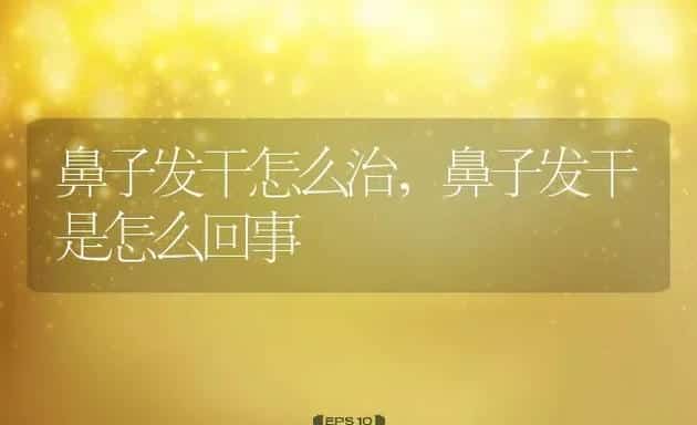 鼻子发干怎么治,鼻子发干是怎么回事 | 宠物百科知识