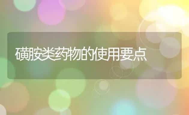 热天如何健康的吃牛羊肉 | 动物养殖学堂