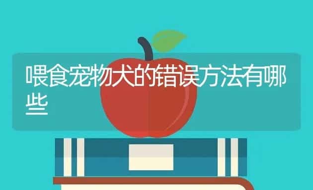 喂食宠物犬的错误方法有哪些 | 宠物趣闻