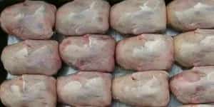 养殖肉鸽新技术应用还有这些误区？ | 鸽子养殖技术