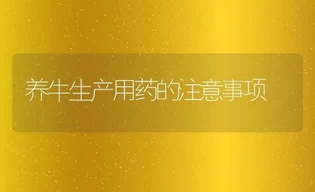 养牛生产用药的注意事项 | 家畜养殖技术
