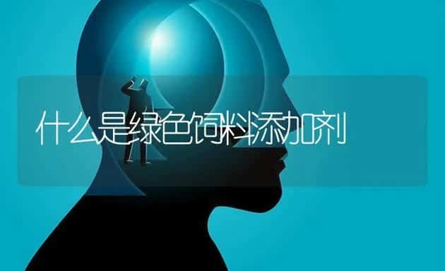 兔肉系列食品的加工 | 动物养殖学堂