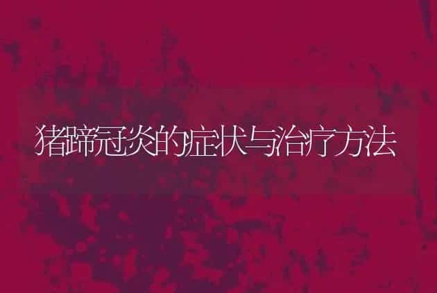怎样建牛舍？20头牛牛舍建造图 | 兽医知识大全