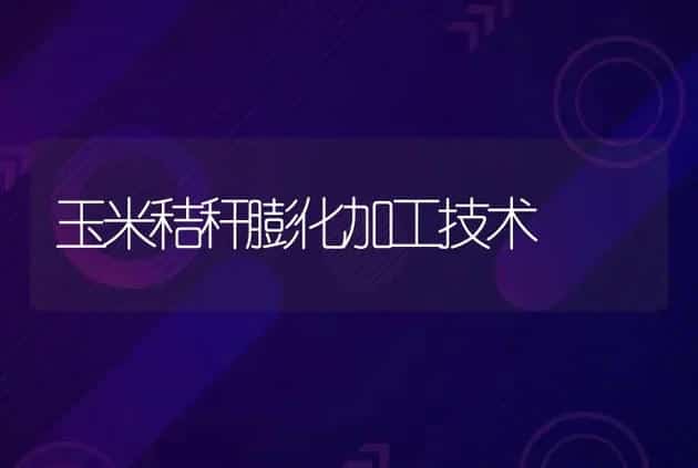 玉米秸秆膨化加工技术 | 养殖