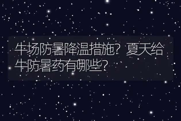 牛场防暑降温措施？夏天给牛防暑药有哪些？ | 家畜养殖