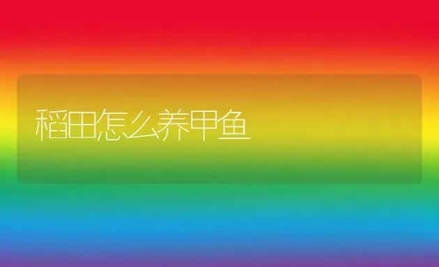 稻田怎么养甲鱼 | 动物养殖百科