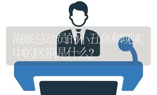 海底总动员的小丑鱼和现实中的区别是什么？ | 鱼类宠物饲养