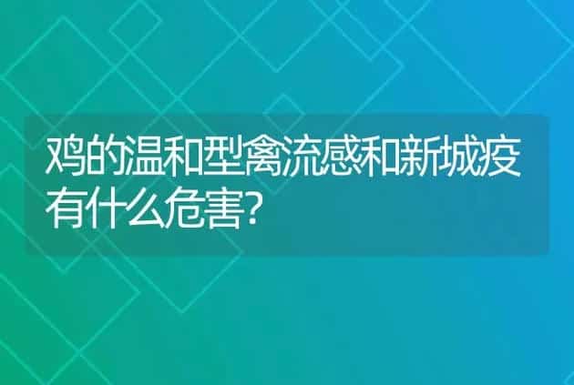 猪场寄生虫防控策略：高效驱虫药物选择与综合防控措施 | 家畜养殖