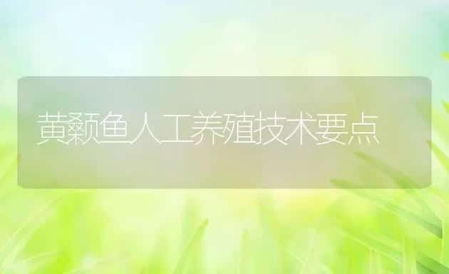 黄颡鱼人工养殖技术要点 | 动物养殖饲料
