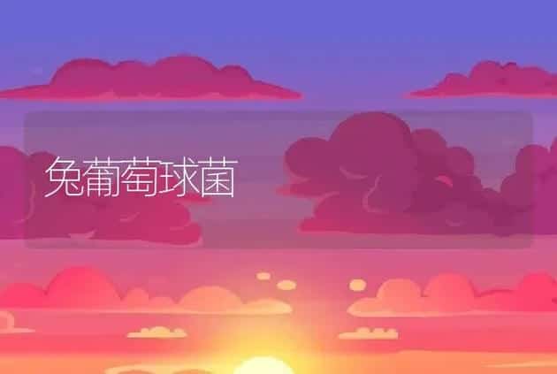 兔葡萄球菌 | 动物养殖
