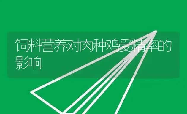 饲料营养对肉种鸡受精率的影响 | 动物养殖学堂