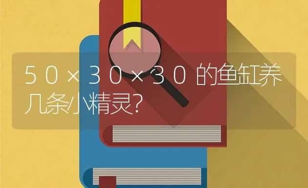 青铜鼠吃鱼屎吗？ | 鱼类宠物饲养