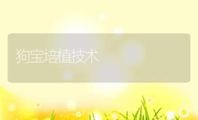 狗宝培植技术 | 动物养殖学堂