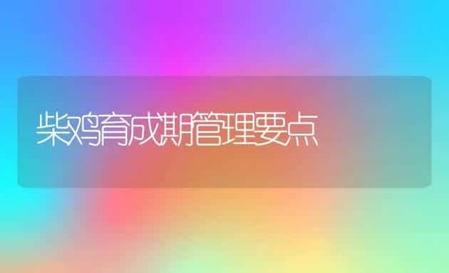 全耳毛兔的饲养技术 | 动物养殖学堂
