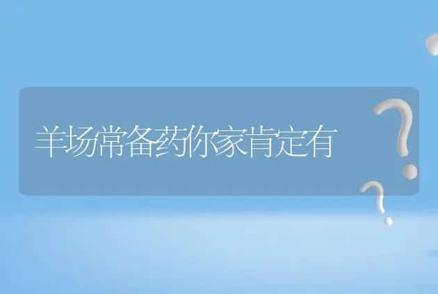 羊场常备药你家肯定有 | 家畜养殖