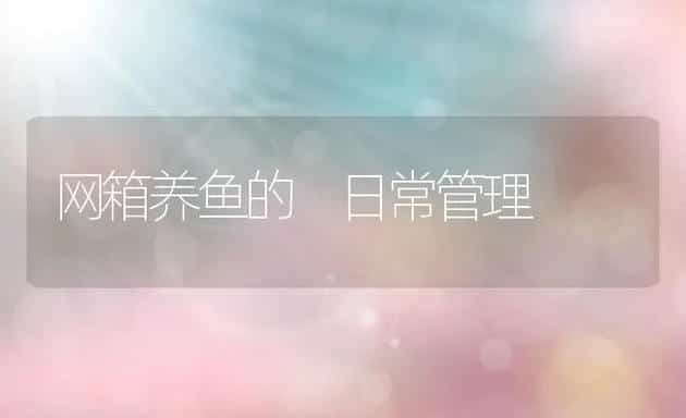 网箱养鱼的 日常管理 | 动物养殖饲料