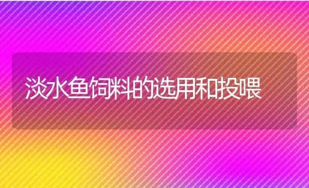 淡水鱼饲料的选用和投喂 | 动物养殖饲料