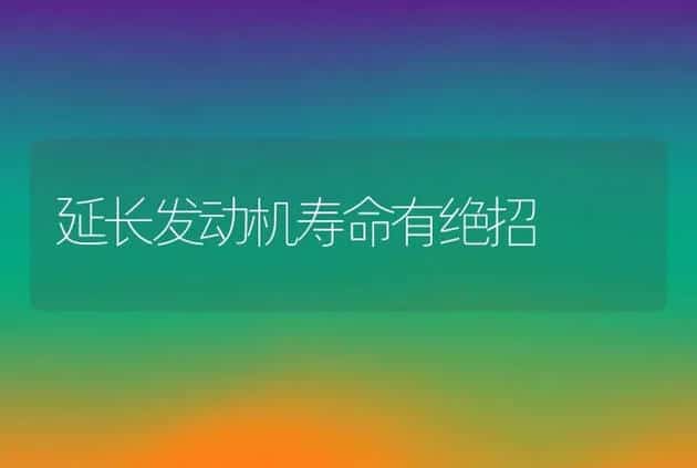 延长发动机寿命有绝招 | 养殖