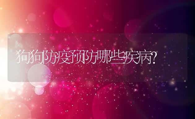 狗狗防疫预防哪些疾病? | 宠物猫