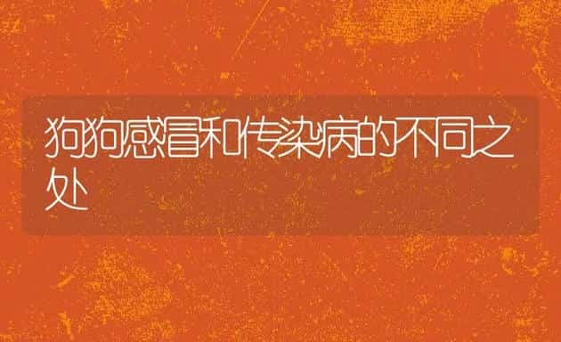 狗狗感冒和传染病的不同之处 | 宠物猫