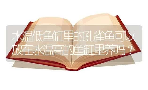 怎样养好招财鱼？ | 鱼类宠物饲养