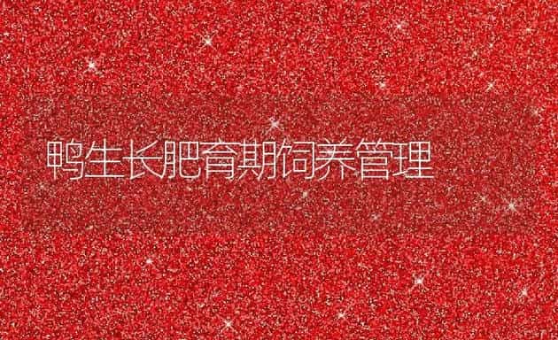 鸡饲料的适宜混合比例 | 动物养殖学堂