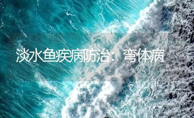 淡水鱼疾病防治：弯体病 | 海水养殖技术