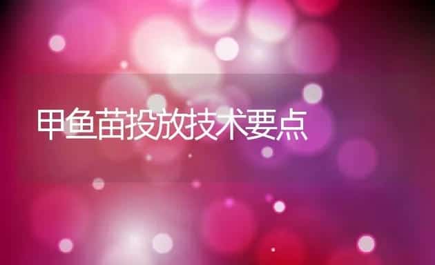 甲鱼苗投放技术要点 | 动物养殖饲料