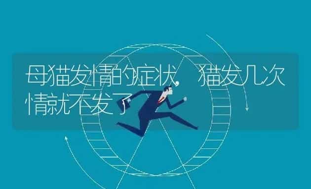 母猫发情的症状,猫发几次情就不发了 | 宠物百科知识