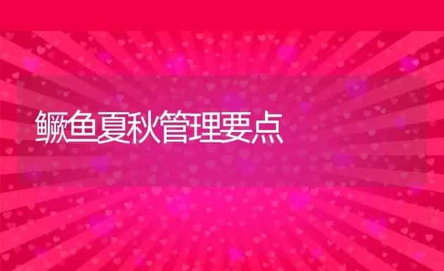 鳜鱼夏秋管理要点 | 动物养殖饲料