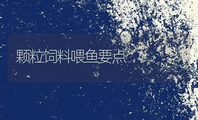 颗粒饲料喂鱼要点 | 动物养殖饲料