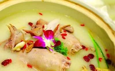 养鸽子能致富吗？ | 鸽子养殖常见问题