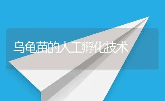 乌龟苗的人工孵化技术 | 动物养殖饲料