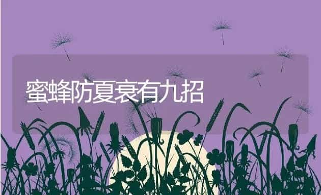 夏季牛蛙养殖要点 | 动物养殖学堂