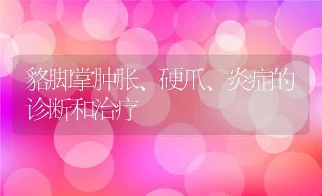 母猪瘫痪的原因与防治方法 | 动物养殖学堂
