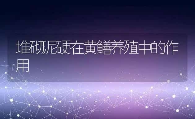 堆砌泥硬在黄鳝养殖中的作用 | 动物养殖饲料